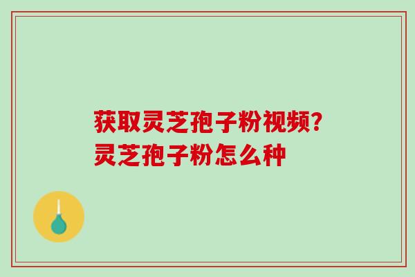 获取灵芝孢子粉视频？灵芝孢子粉怎么种