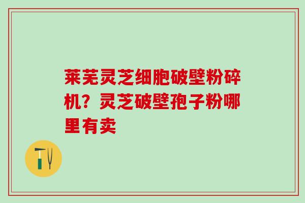 莱芜灵芝细胞破壁粉碎机？灵芝破壁孢子粉哪里有卖