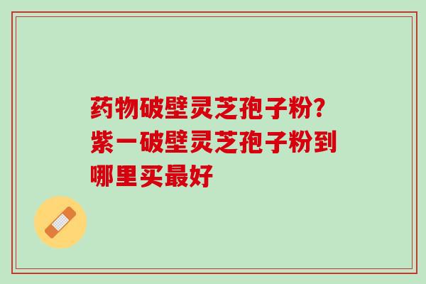 破壁灵芝孢子粉？紫一破壁灵芝孢子粉到哪里买好