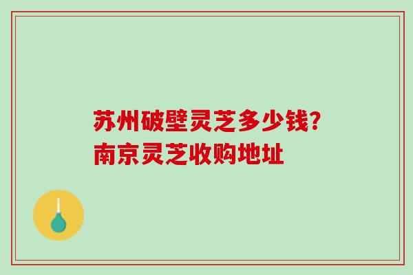 苏州破壁灵芝多少钱？南京灵芝收购地址