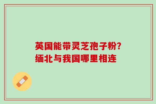 英国能带灵芝孢子粉？缅北与我国哪里相连