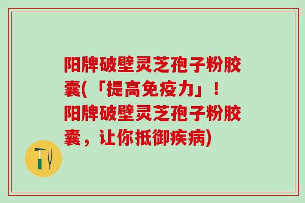 阳牌破壁灵芝孢子粉胶囊(「提高免疫力」！阳牌破壁灵芝孢子粉胶囊，让你抵御疾病)