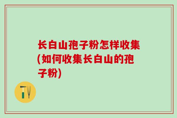 长白山孢子粉怎样收集(如何收集长白山的孢子粉)