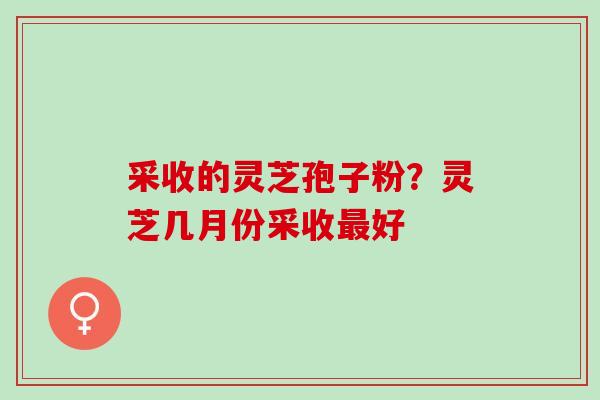 采收的灵芝孢子粉?灵芝几月份采收好 采收的灵芝孢子粉?灵芝几月份采收好