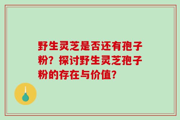 野生灵芝是否还有孢子粉？探讨野生灵芝孢子粉的存在与价值？