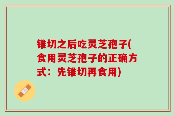 锥切之后吃灵芝孢子(食用灵芝孢子的正确方式：先锥切再食用)