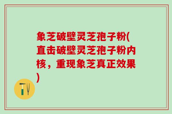 象芝破壁灵芝孢子粉(直击破壁灵芝孢子粉内核，重现象芝真正效果)