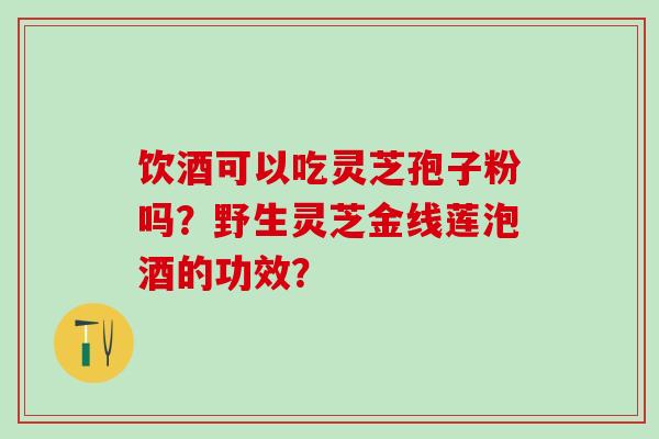 饮酒可以吃灵芝孢子粉吗？野生灵芝金线莲泡酒的功效？