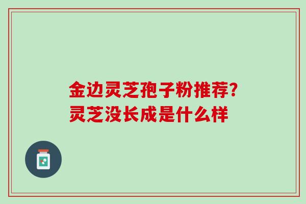 金边灵芝孢子粉推荐？灵芝没长成是什么样