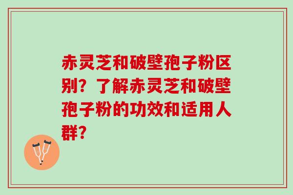 赤灵芝和破壁孢子粉区别？了解赤灵芝和破壁孢子粉的功效和适用人群？