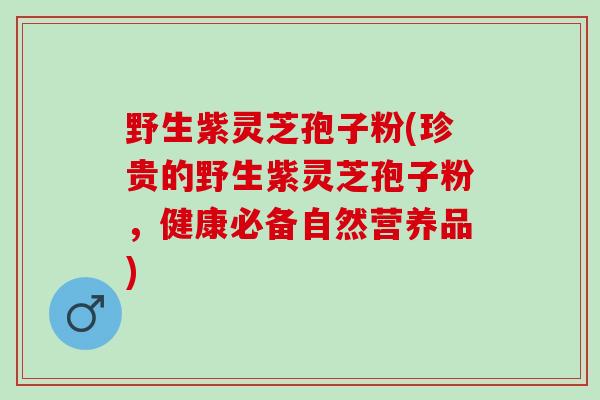 野生紫灵芝孢子粉(珍贵的野生紫灵芝孢子粉，健康必备自然营养品)