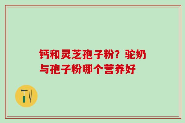 钙和灵芝孢子粉?驼奶与孢子粉哪个营养好 钙和灵芝孢子粉?驼奶与孢子粉哪个营养好