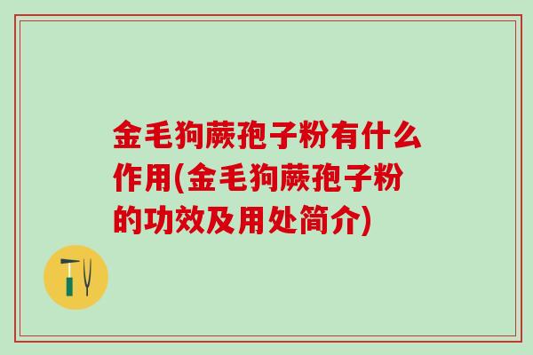 金毛狗蕨孢子粉有什么作用(金毛狗蕨孢子粉的功效及用处简介)