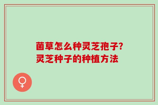 菌草怎么种灵芝孢子？灵芝种子的种植方法