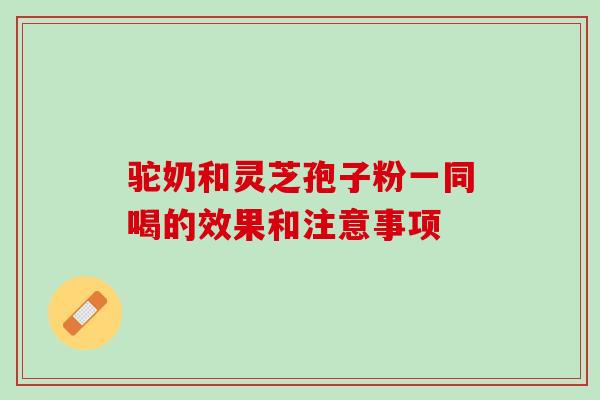 驼奶和灵芝孢子粉一同喝的效果和注意事项
