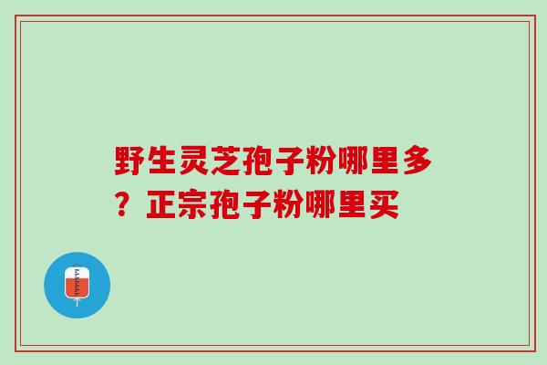 野生灵芝孢子粉哪里多？正宗孢子粉哪里买