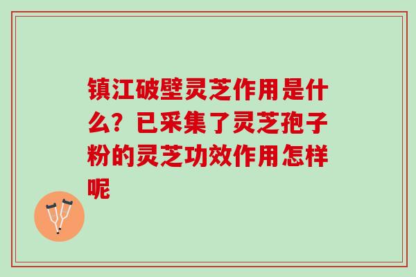 镇江破壁灵芝作用是什么？已采集了灵芝孢子粉的灵芝功效作用怎样呢