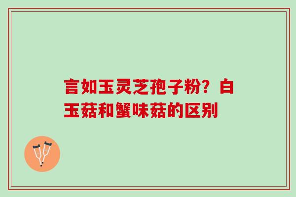 言如玉灵芝孢子粉？白玉菇和蟹味菇的区别