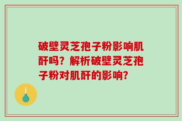 破壁灵芝孢子粉影响肌酐吗？解析破壁灵芝孢子粉对肌酐的影响？