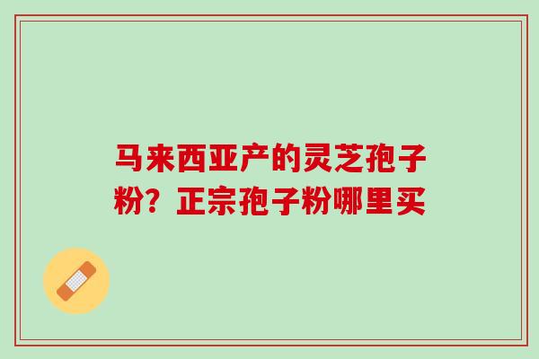 马来西亚产的灵芝孢子粉？正宗孢子粉哪里买