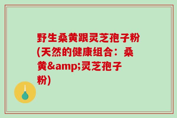 野生桑黄跟灵芝孢子粉(天然的健康组合：桑黄&灵芝孢子粉)