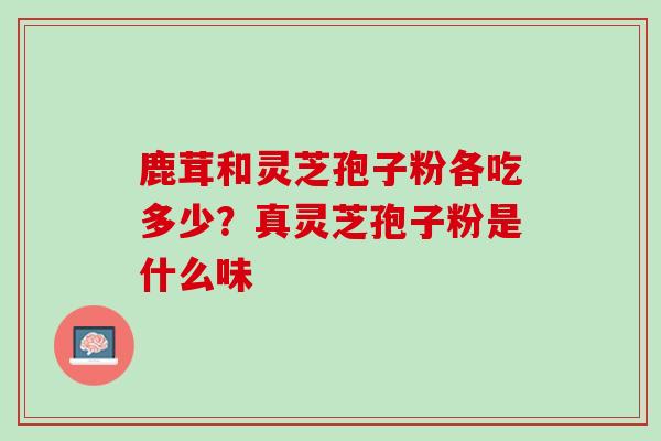 鹿茸和灵芝孢子粉各吃多少？真灵芝孢子粉是什么味