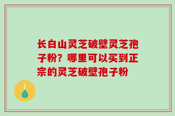 长白山灵芝破壁灵芝孢子粉?哪里可以买到正宗的灵芝破壁孢子粉 长白山灵芝破壁灵芝孢子粉?哪里可以买到正宗的灵芝破壁孢子粉