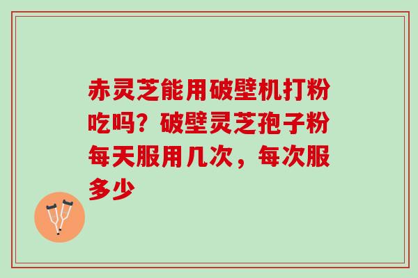 赤灵芝能用破壁机打粉吃吗？破壁灵芝孢子粉每天服用几次，每次服多少