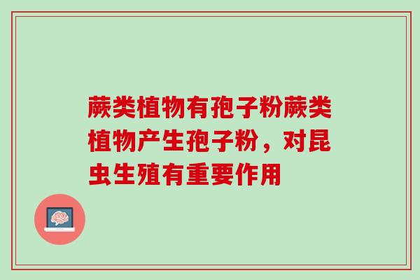 蕨类植物有孢子粉蕨类植物产生孢子粉，对昆虫生殖有重要作用