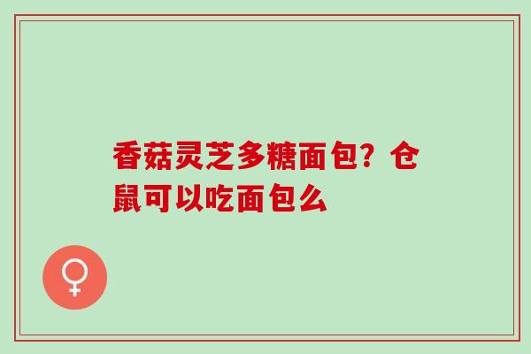 香菇灵芝多糖面包？仓鼠可以吃面包么
