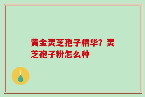 黄金灵芝孢子精华？灵芝孢子粉怎么种