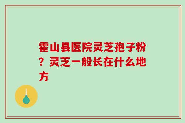 霍山县医院灵芝孢子粉？灵芝一般长在什么地方