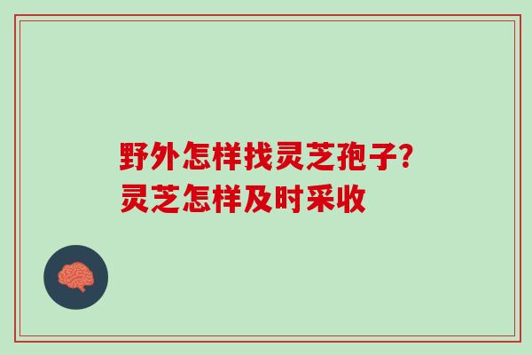 野外怎样找灵芝孢子？灵芝怎样及时采收