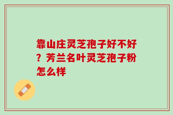 靠山庄灵芝孢子好不好？芳兰名叶灵芝孢子粉怎么样