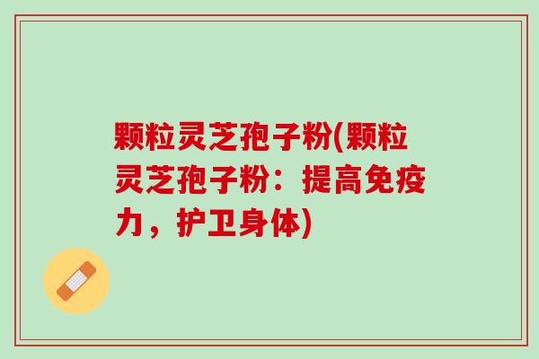 颗粒灵芝孢子粉(颗粒灵芝孢子粉：提高免疫力，护卫身体)