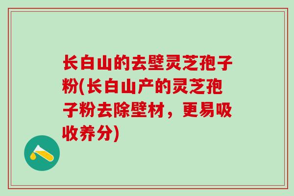 长白山的去壁灵芝孢子粉(长白山产的灵芝孢子粉去除壁材,更易吸收养分) 长白山的去壁灵芝孢子粉(长白山产的灵芝孢子粉去除壁材,更易吸收养分)