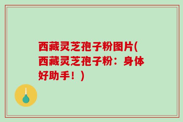 西藏灵芝孢子粉图片(西藏灵芝孢子粉：身体好助手！)