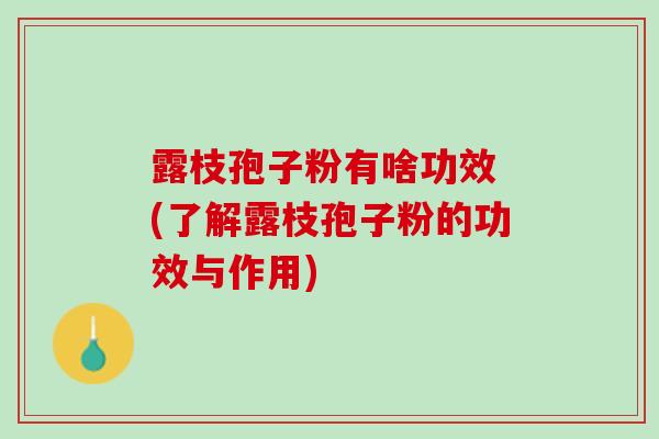 露枝孢子粉有啥功效 (了解露枝孢子粉的功效与作用)
