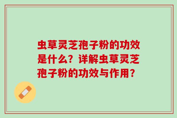 虫草灵芝孢子粉的功效是什么?详解虫草灵芝孢子粉的功效与作用? 虫草灵芝孢子粉的功效是什么?详解虫草灵芝孢子粉的功效与作用?