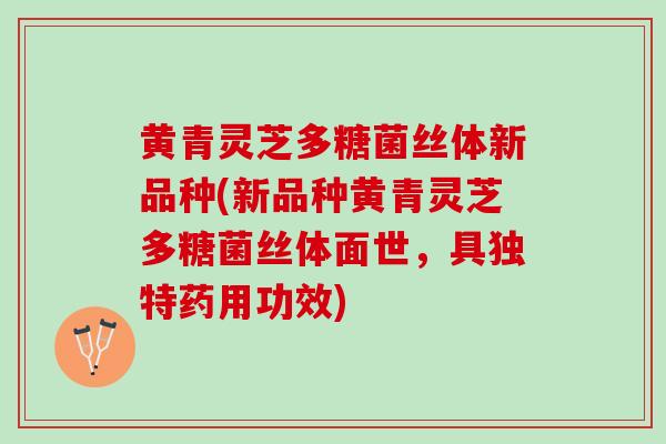 黄青灵芝多糖菌丝体新品种(新品种黄青灵芝多糖菌丝体面世，具独特药用功效)