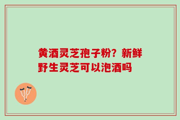 黄酒灵芝孢子粉？新鲜野生灵芝可以泡酒吗