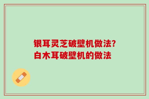 银耳灵芝破壁机做法？白木耳破壁机的做法