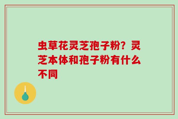 虫草花灵芝孢子粉?灵芝本体和孢子粉有什么不同 虫草花灵芝孢子粉?灵芝本体和孢子粉有什么不同