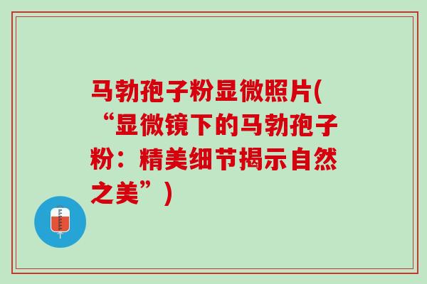 马勃孢子粉显微照片(“显微镜下的马勃孢子粉：精美细节揭示自然之美”)