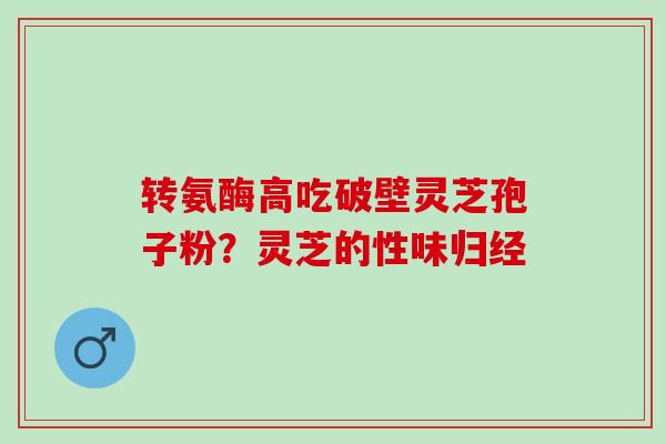 转氨酶高吃破壁灵芝孢子粉?灵芝的性味归经 转氨酶高吃破壁灵芝孢子粉?灵芝的性味归经