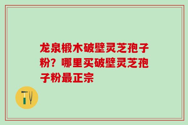 龙泉椴木破壁灵芝孢子粉？哪里买破壁灵芝孢子粉正宗