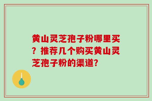 黄山灵芝孢子粉哪里买？推荐几个购买黄山灵芝孢子粉的渠道？