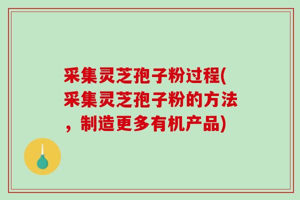 采集灵芝孢子粉过程(采集灵芝孢子粉的方法，制造更多有机产品)