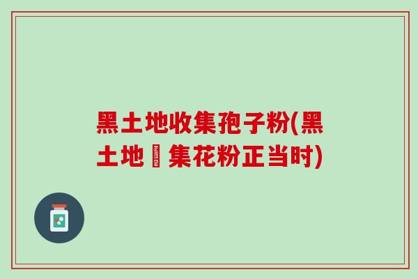 黑土地收集孢子粉(黑土地採集花粉正当时)