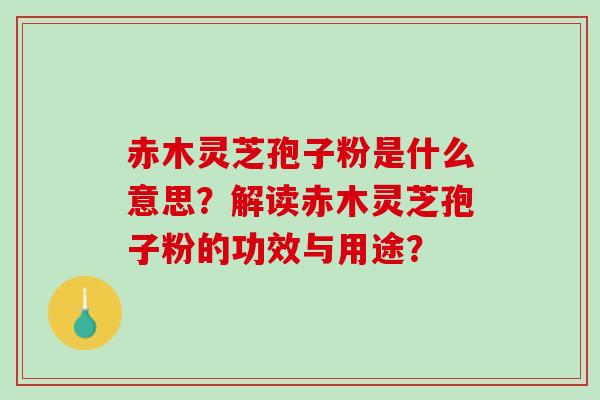 赤木灵芝孢子粉是什么意思？解读赤木灵芝孢子粉的功效与用途？
